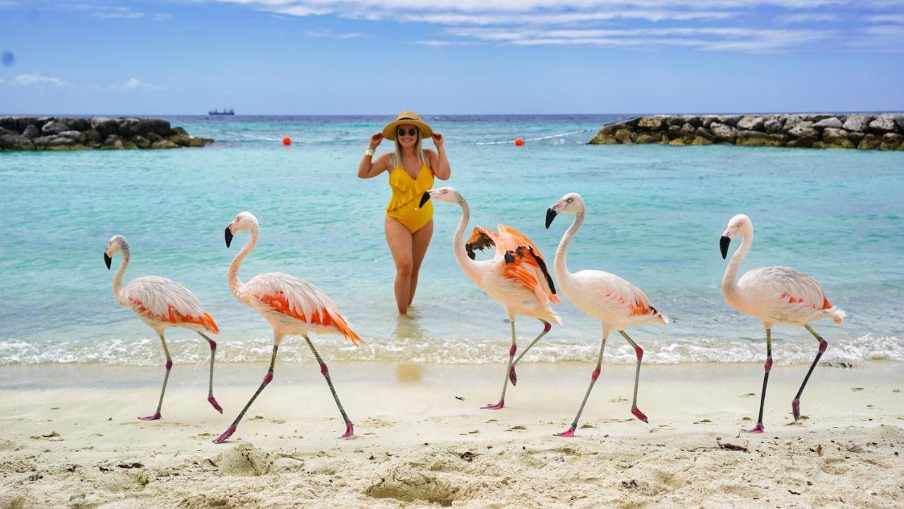 Villa Aloe Oranjestad Luaran gambar